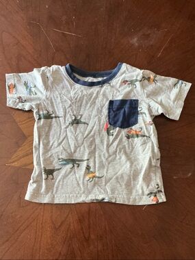 Grey Dinosaur Pocket Tee - with Navy Trim